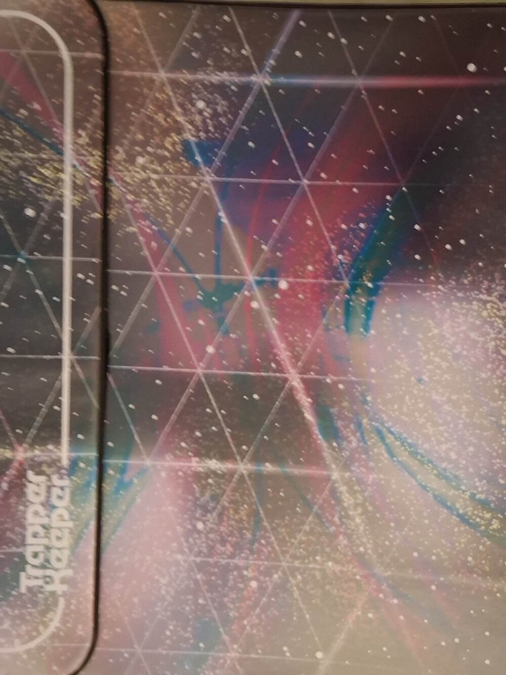 Trapper Keeper w/folders and notebook